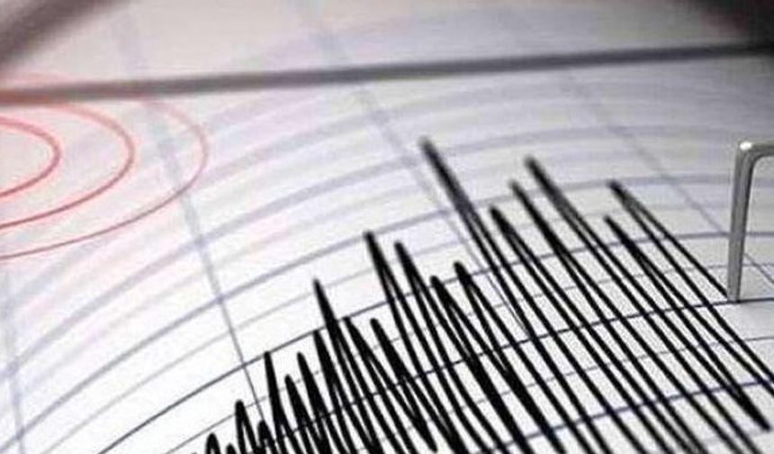 Van'daki deprem Bitlis'te hissedildi