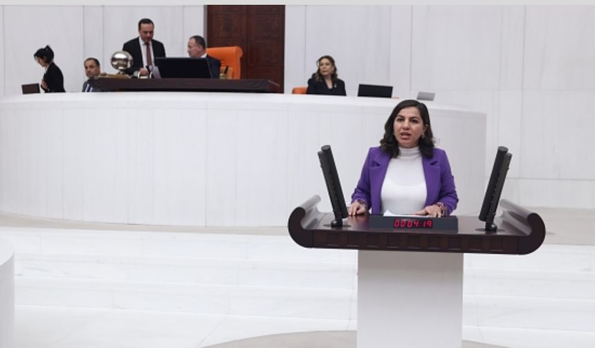Milletvekili Gökalp, Adalet Bakanına Tatvan Belediyesinin Cumhurbaşkanı fotoğrafı için soru önergesi sundu.