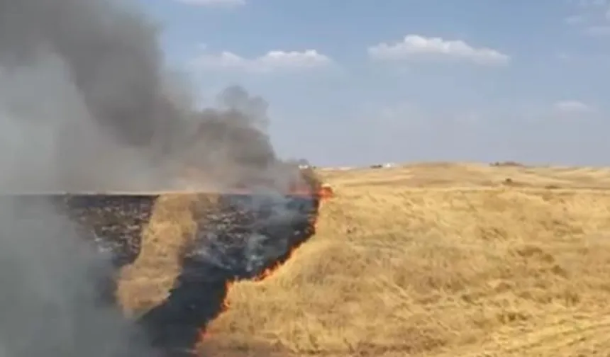 300 Hektarlık Alan Anız Yangınında Kül Oldu