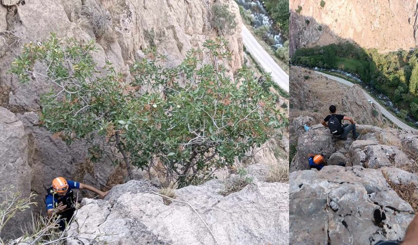 Bitlis'te Kayalıklarda Mahsur Kalan 4 Oğlak Kurtarıldı