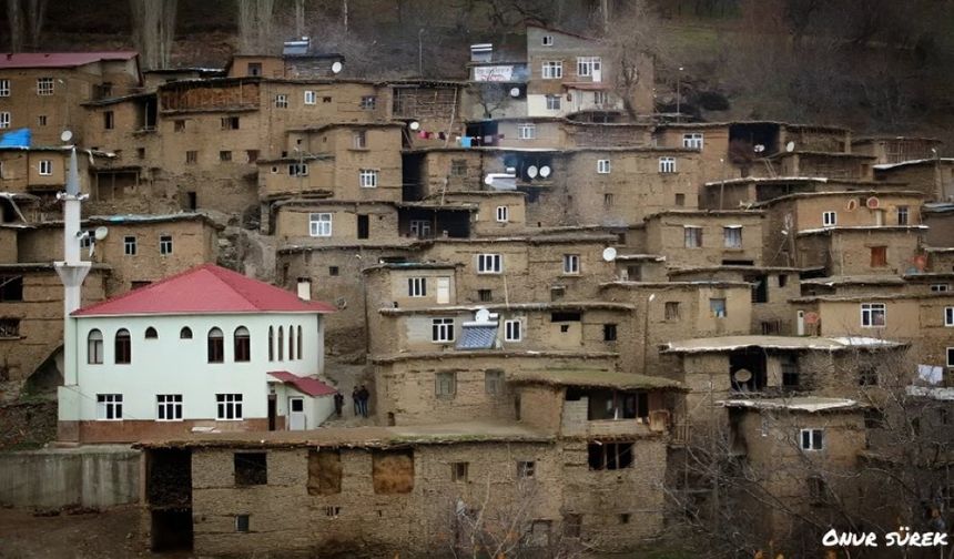 Bitlis Kısa Kısa Haber 02.07.2024