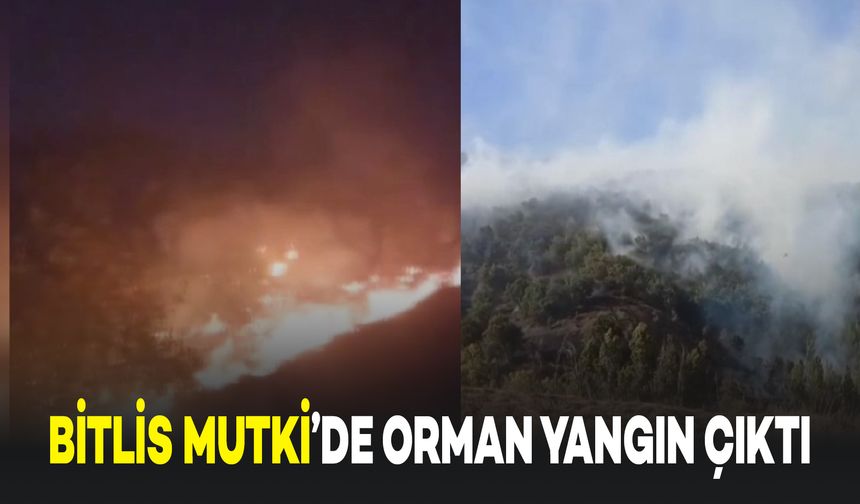 Bitlis Mutki'de Orman Yangını Çıktı