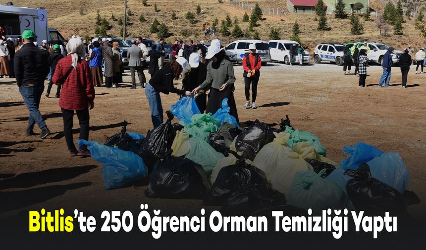 Bitlis'te 250 Öğrenci Orman Temizliği Etkinliği Yaptı