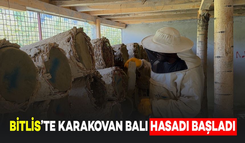 Bitlis'te Dünyaca Ünlü Karakovan Balı Hasadı Başladı