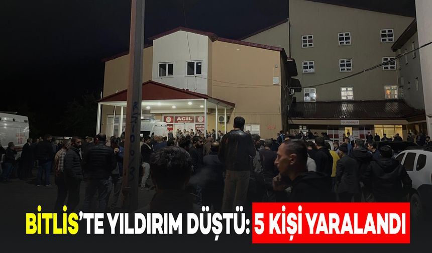 Bitlis'te Mezraya Yıldırım Düştü: 5 Kişi Yaralandı