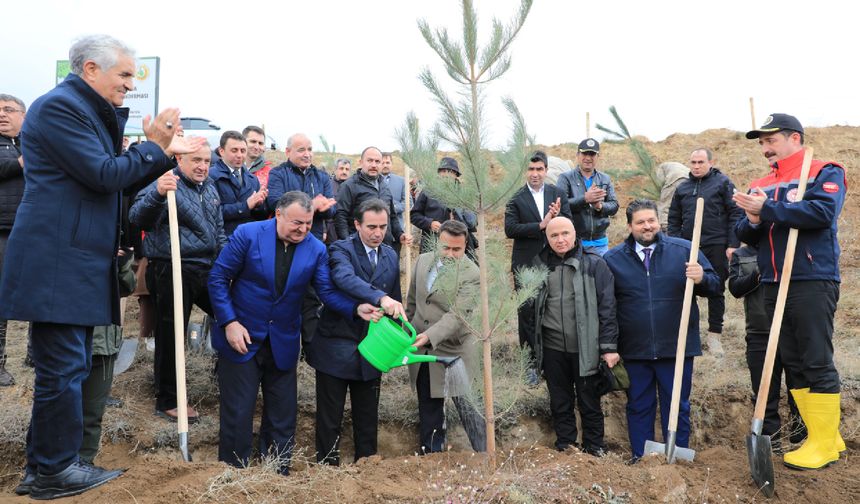 Dünya Ahıskalı Türkler Birliği Ahlat'ta ‘Hatıra Ormanı’ Oluşturdu