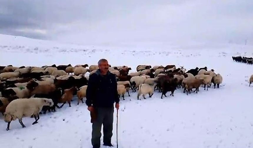 Adilcevaz’da Kar Yağışı Besicilere Zor Anlar Yaşattı