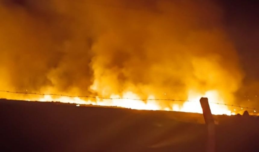 Siirt'te Anız Yangınında 60 Dönüm Arazi ve Hayvanlar Son Anda Kurtarıldı