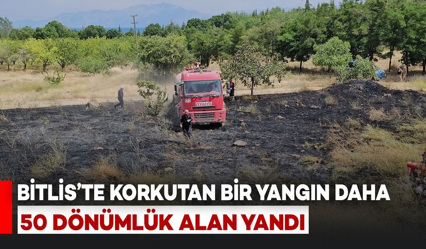 Bitlis'te Korkutan Yangın: 50 Dönüm Arazi Kül Oldu