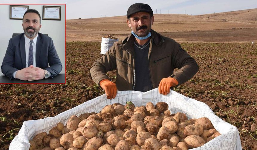 Patatesi Elinde Kalan Ahlatlı Çiftçilere Müjdeli Haber!