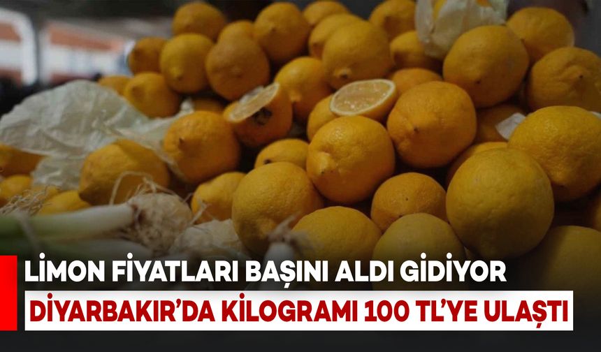 Limonun Tadı Kaçtı: Diyarbakır'da Kilogramı 100 TL’yi Buldu