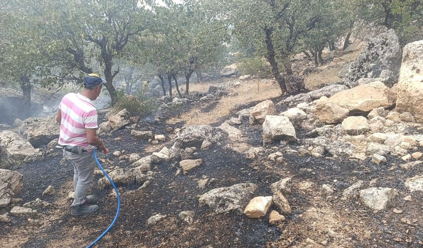 Siirt’te Orman Yangını Erken Müdahaleyle Söndürüldü