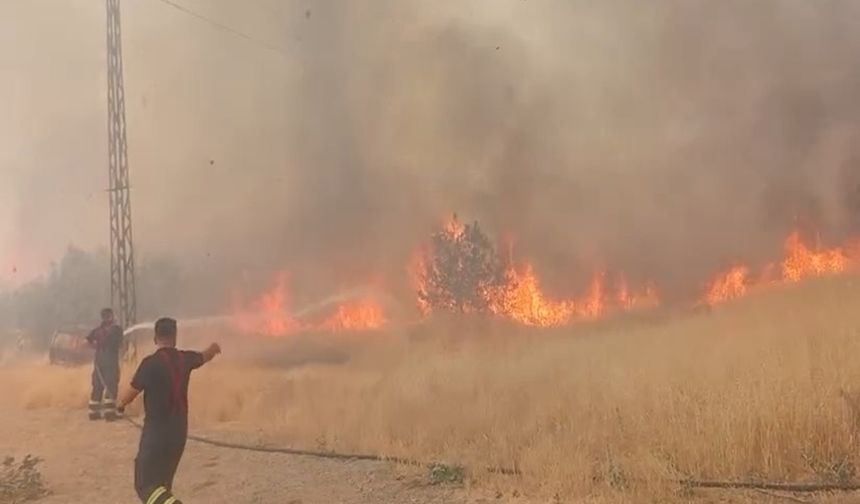 Şırnak’ta Orman Yangınına Havadan ve Karadan Müdahale