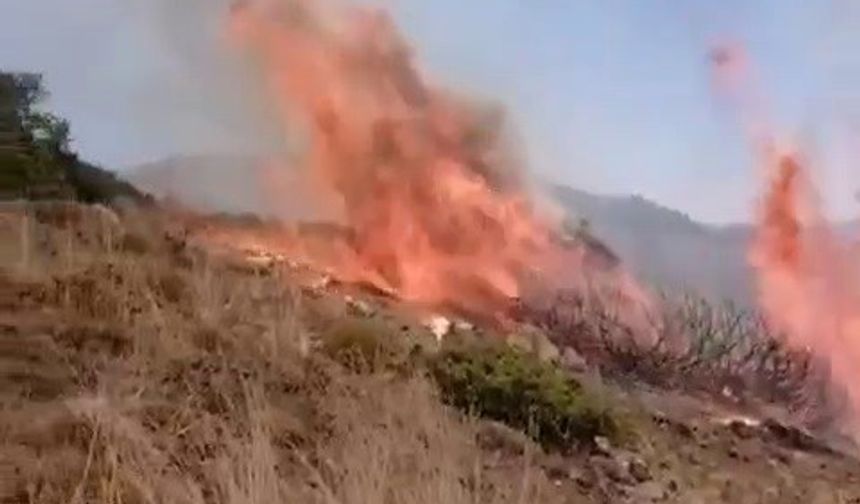 Bitki Örtüsü Yangını Korkuttu
