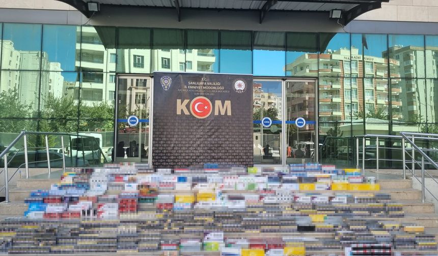55 bin paket kaçak sigara ele geçirildi: 10 gözaltı