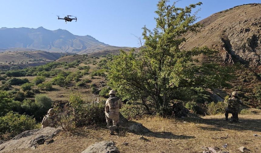 Van'da Kaybolan Koyunları Jandarma Dronla Buldu