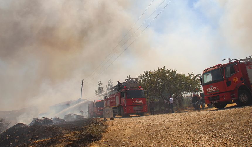 Diyarbakır kırsalında çıkan yangında ahırlar yandı, hayvanlar telef oldu