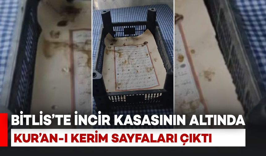 Bitlis'te incir kasasının altında Kur'an-ı Kerim müshafları çıktı