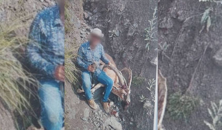 Yaban Keçisi Avlayan Kişiye 650 Bin Lira Ceza
