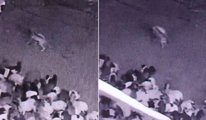 Kurt Ahıra Girdi, Koyunu Telef Etti: O Anlar Kamerada