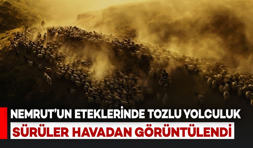 Nemrut’un Eteklerinde Tozlu Yolculuk: Sürüler Havadan Görüntülendi