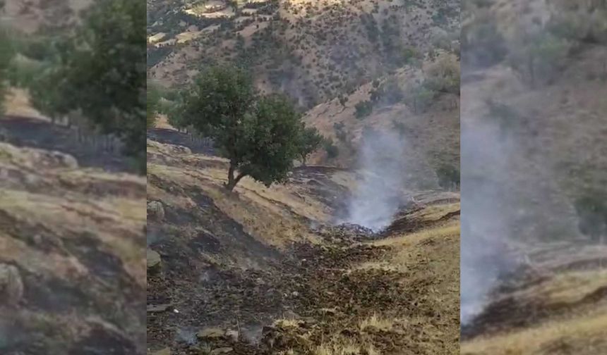 Bitlis'te Köyde Çıkan Yangın Korkuya Neden Oldu