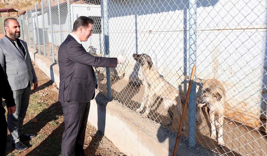 Bitlis Valisi Karakaya Sokak Hayvanları Bakımevi’nde İncelemelerde Bulundu
