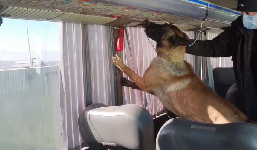 Otobüs bagajındaki yangın tüplerinden 8 kilo skunk çıktı