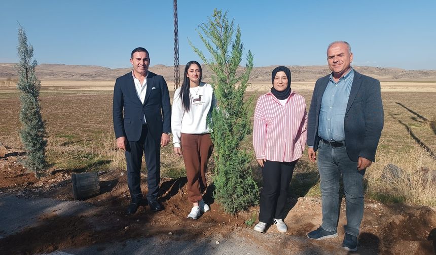 Ağaç Dikme Haftası’nda Adilcevaz'da 500 Fidan toprakla Buluştu