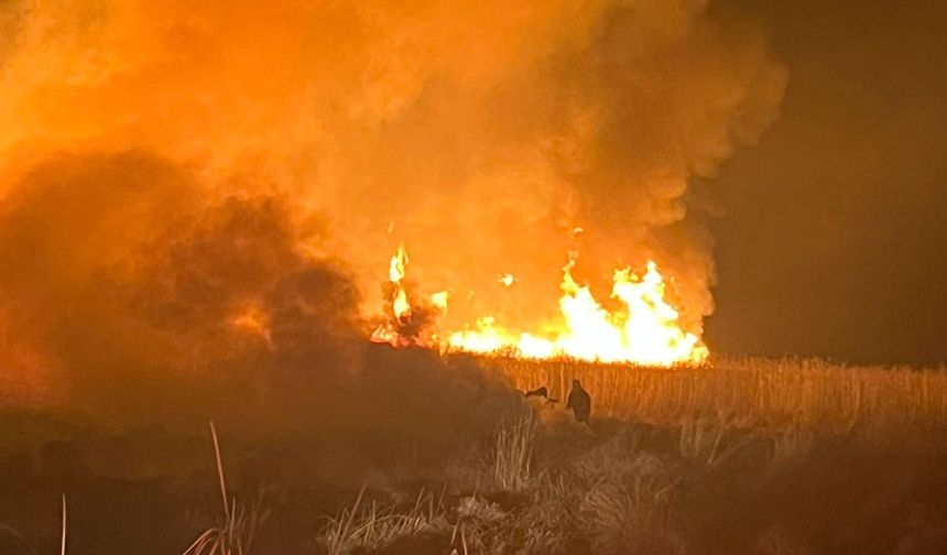Kuş Cennetinde Yangın Meydana Geldi