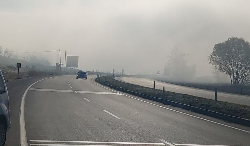 Bingöl’de sis etkili oldu