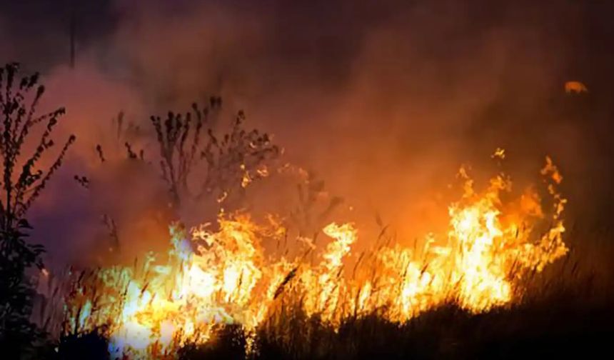 Nehil Sazlığı Alevlere Teslim Oldu