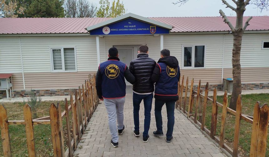 Muş’ta dolandırıcılık suçundan aranan hükümlü JASAT tarafından yakalandı