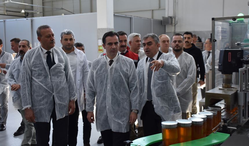 Vali Karakaya, BETAV Bal Üretim Tesisi’nde İncelemelerde Bulundu