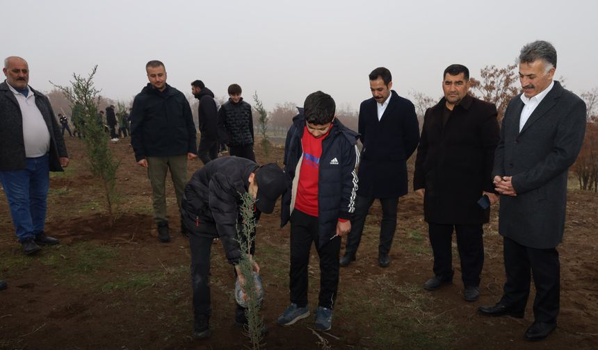 Güroymak'ta Ağaç Dikme Etkinliği