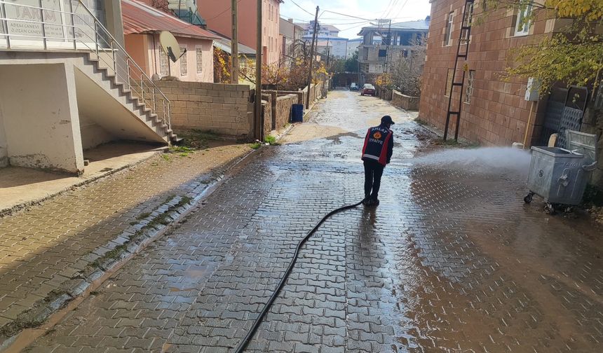 Ahlat’ta Cadde ve Sokaklar Temizlendi
