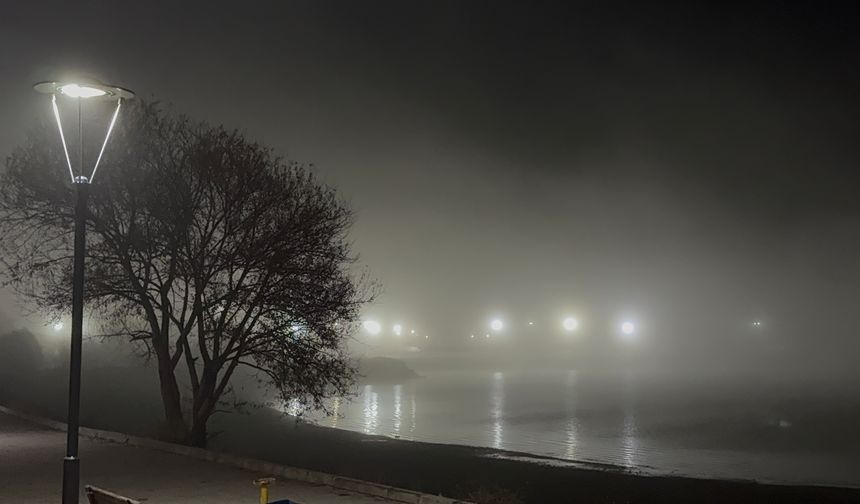 Tatvan’da Yoğun Sis Sürücülere Zorluk Çıkardı