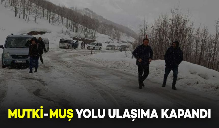 Mutki-Muş Yolu Yoğun Kar Yağışı Nedeniyle Ulaşıma Kapandı