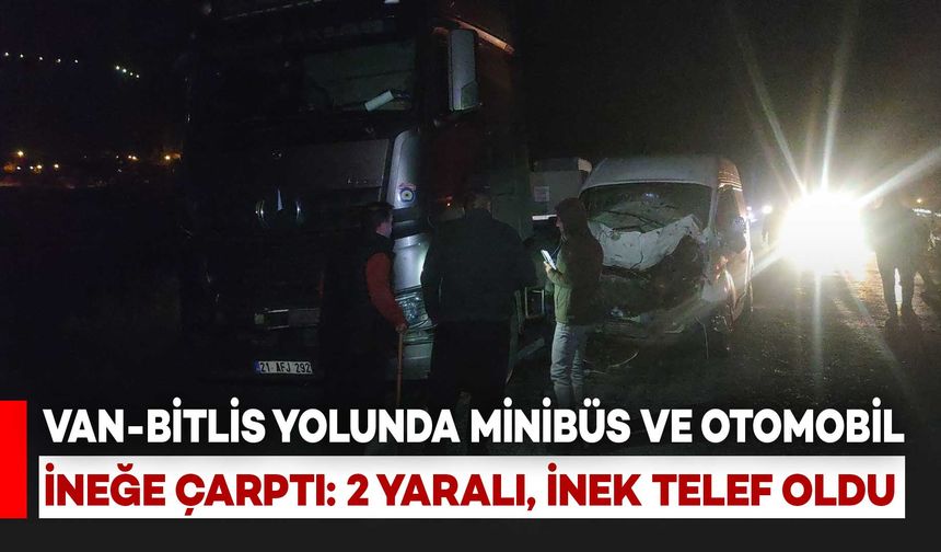 Van-Bitlis Yolunda İneğe Çarpan Minibüs ve Otomobil Kaza Yaptı: 2 Yaralı, İnek Telef Oldu