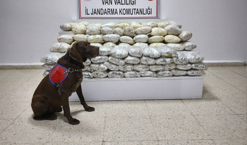 Van'da 60 Kilo Uyuşturucu Ele Geçirildi