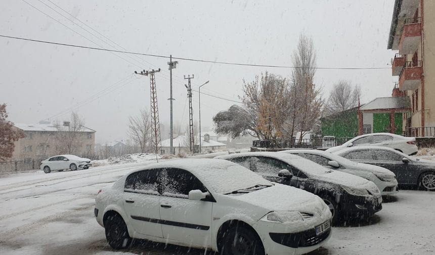 Van'da Kar Yağışı: Beyaza Büründü
