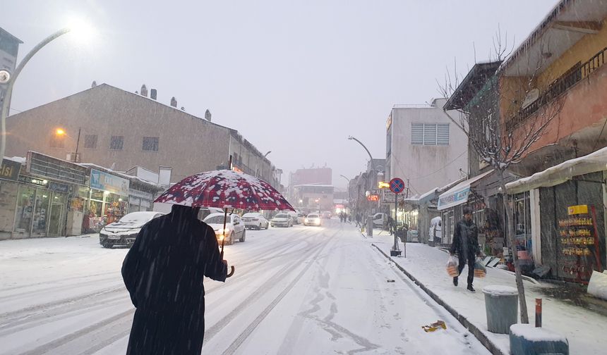 Van'da kar yağışı etkili oldu: Görüş mesafesi düştü, yollar beyaza büründü
