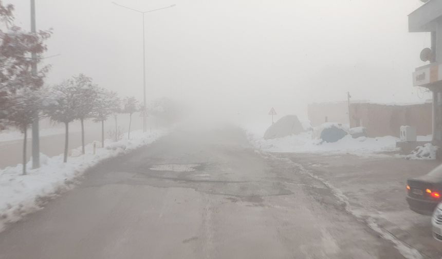 Van'da yoğun sis etkili oldu: görüş mesafesi 5 metreye düştü