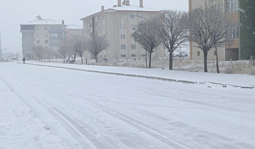 Bitlis’te Kar yağışı Kenti Beyaza Bürüdü