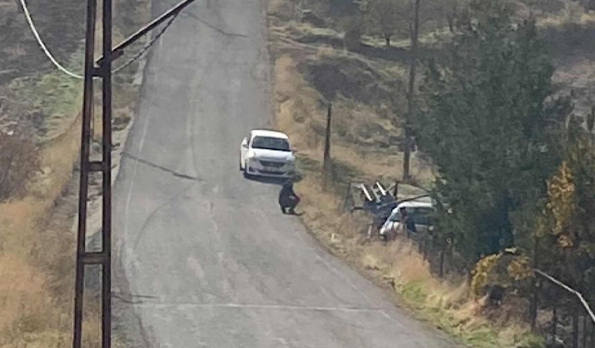 Siirt'te maddi hasarlı kaza