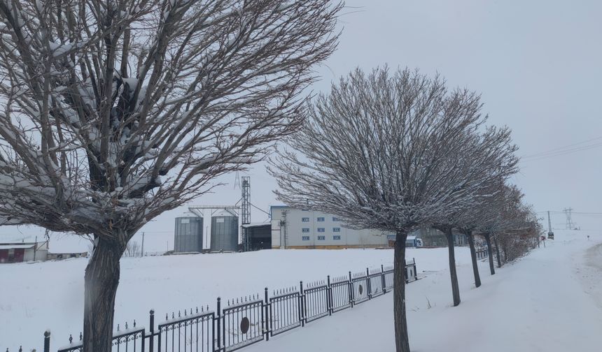 Van’da Sibirya soğukları hayatı olumsuz etkiliyor