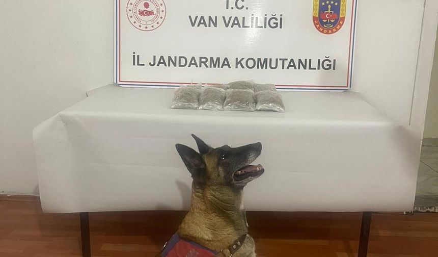 Van'da yol kontrolünde uyuşturucu ele geçirildi