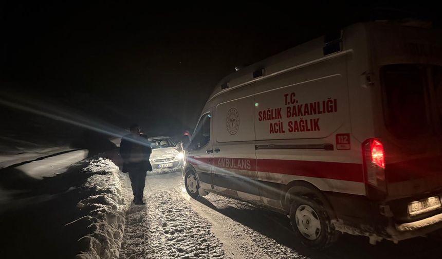 Muş’ta 176 köy yolu kapandı, ekipler hastalar için zamanla yarıştı