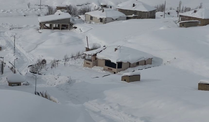 Hakkari'de kar yağışı: 229 yerleşim yerinin yolu kapandı