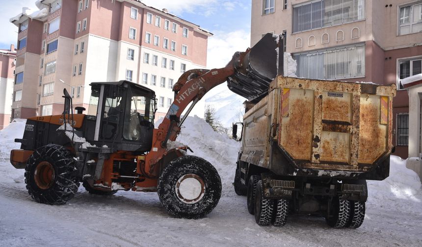 Bitlis’te Karla Mücadeleye 410 Bin Litre Yakıt Tüketildi